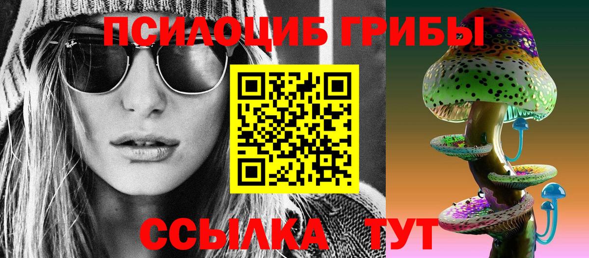 Псилоцибиновые грибы GOLDEN TEACHER  Тында  где продают   Галлюциногенные грибы Cubensis 